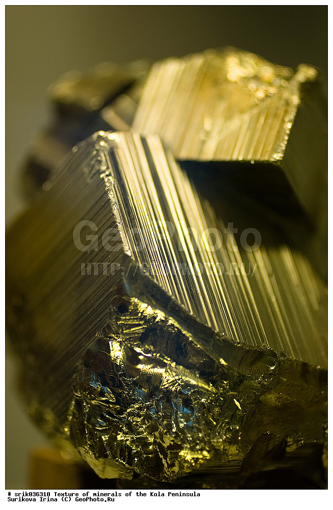 �������, �������� ����������, �������, ��������, ������, �����������, ������, �����, �������, �������, ��������������, �����������, ����������, ��������, �������, hibins, ������������, ���������, ���������, �����, �����������, ������ �������� ����������, ����, �����, ������������, ���������, ������, ����, ������, ����������, �����������, ������, ������, �����, ���������, ������,  ������, ����, ��������, ���������, 