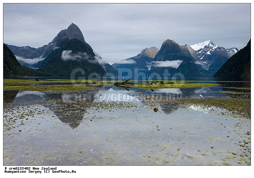 ����� ��������, ����, ������