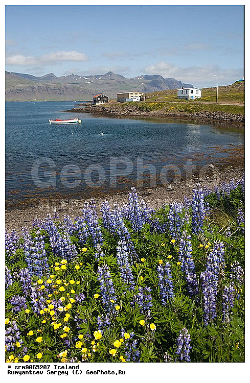 ����, �����, �����