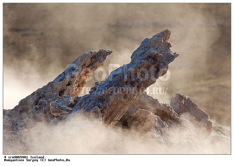 ��������, ����, ������������� ��������, ������