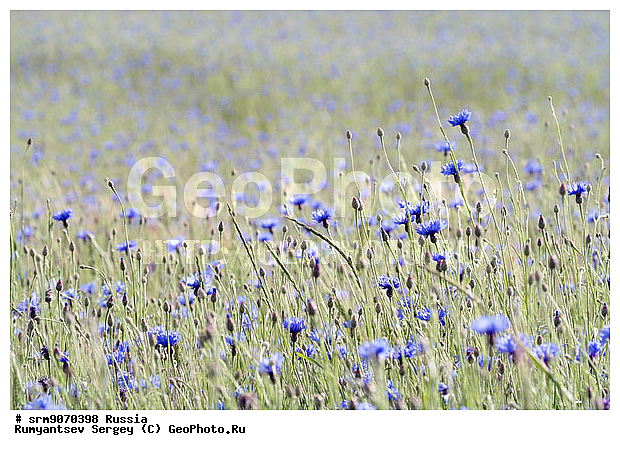 ��������� ������, ������, ������, ��������, �������, �� ���������, ����, ����, ����, ������� ����, �����, ����������, ������