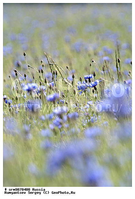 ��������� ������, ������, ������, ��������, �������, �� ���������, ����, ����, ����, ������� ����, �����, ����������, ������