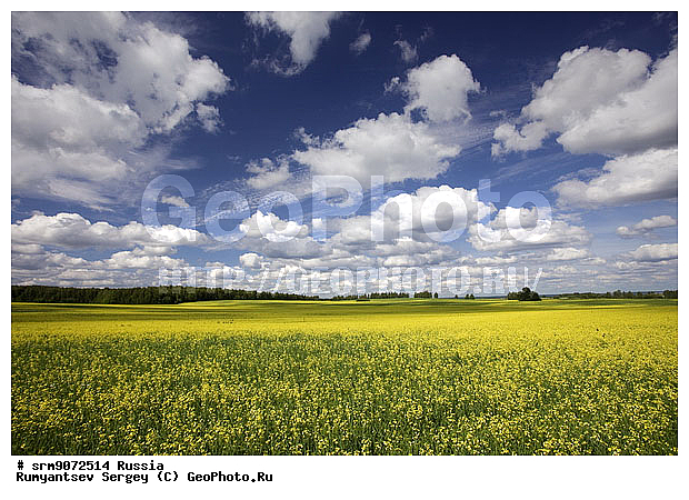 ��������� ������, ������, ����, ����, ����, ������� ����, ����������, ������