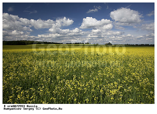 ��������� ������, ������, ����, ����, ����, ������� ����, ����������, ������