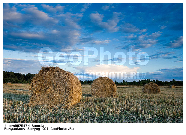 ��������� ������, ������, ����, ����, ����, ������� ����, ����������, ������