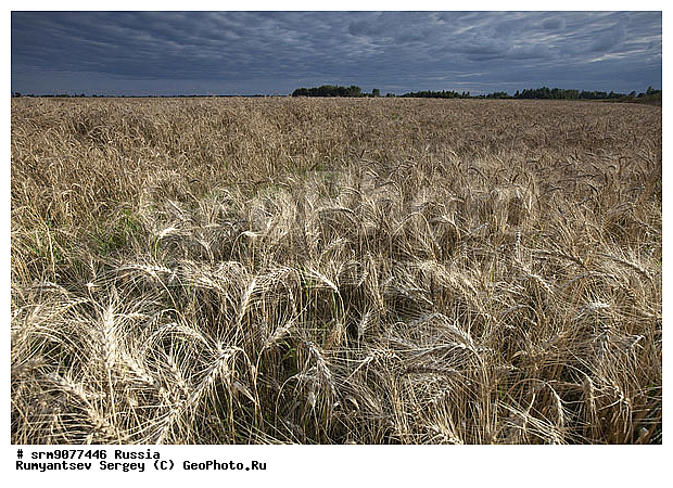 ��������� ������, ������, ����, ����, ����, ������� ����, ����������, ������