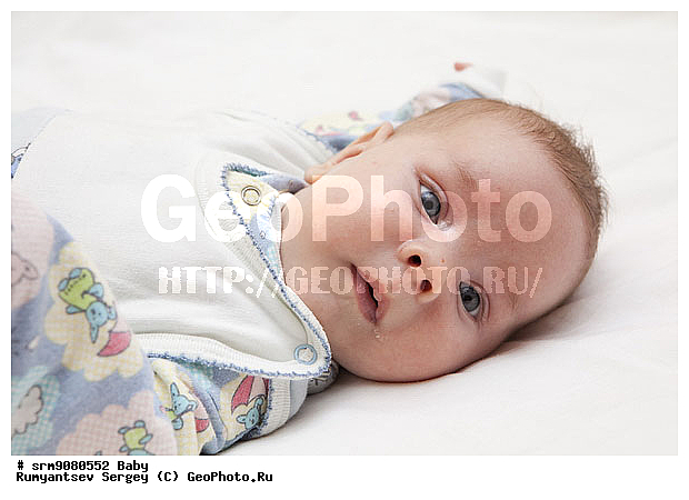 �� ����, �����, �������, ��������, �������, �������