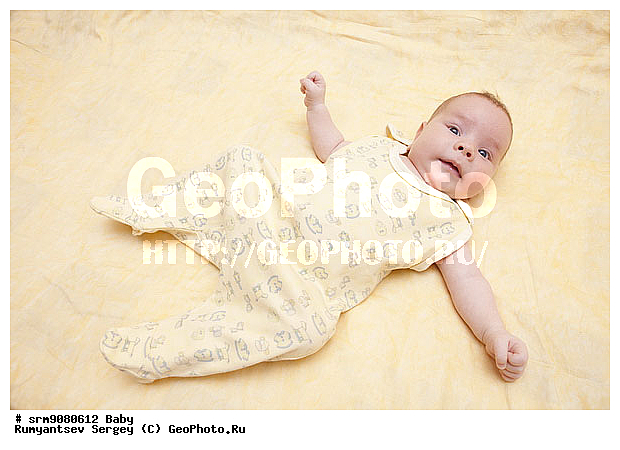 �� ����, �����, �������, ��������, �������, �������