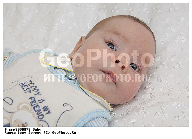 �� ����, �����, �������, ��������, �������, �������