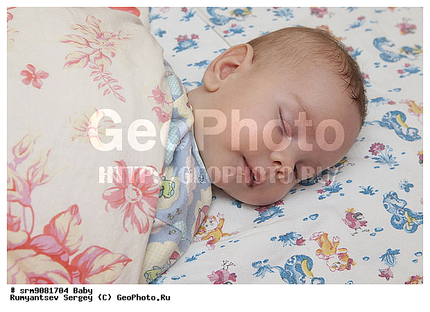 �� ����, �����, �������, ��������, �������, �������