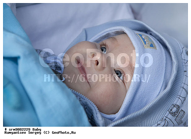 �� ����, �����, �������, ��������, �������, �������