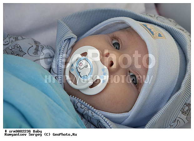 �� ����, �����, �������, ��������, �������, �������