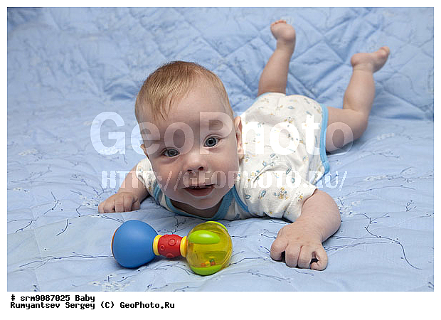 �� ����, �����, �������, ��������, �������, �������