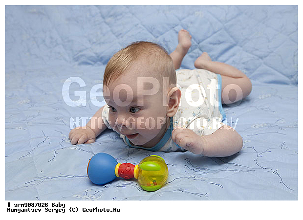 �� ����, �����, �������, ��������, �������, �������