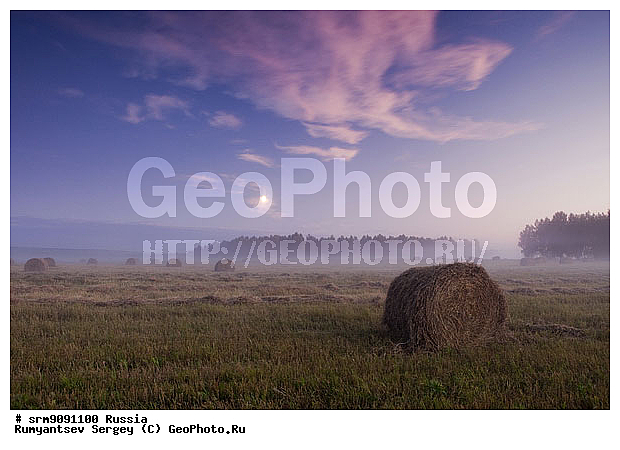 ����, �����, ����, ���� ������, ����, ����