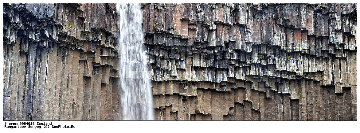 ��������, ����, �������, ������