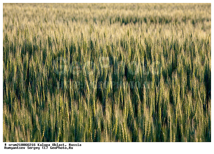 ��������� �������, ������, �����, ��������, ����, ������, ����, ������