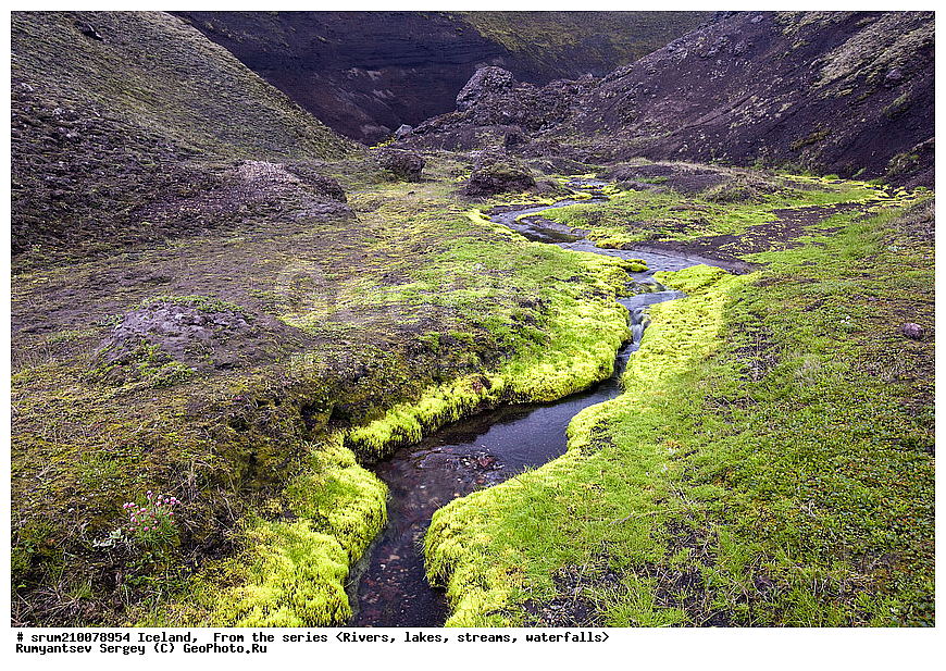 ��������, ����, ����, ������