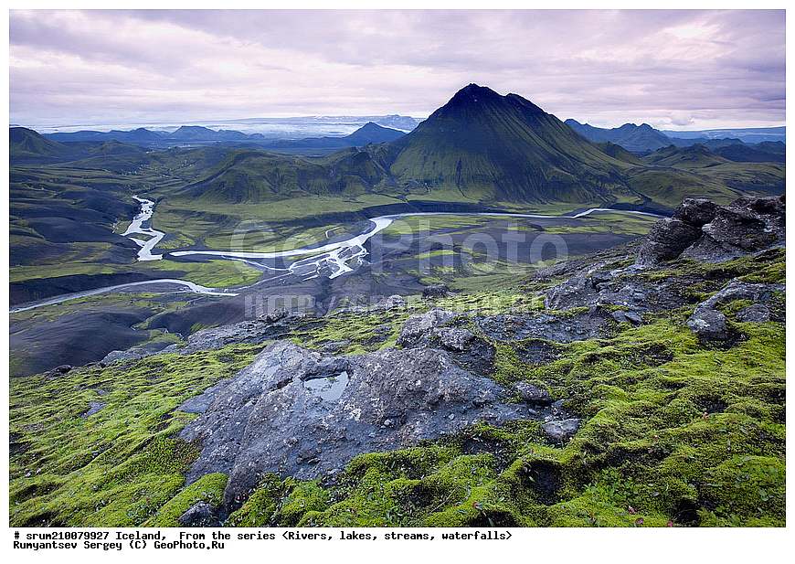 ��������, ����, ����, ������