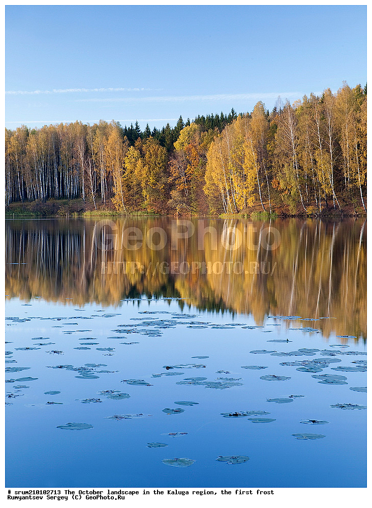 ������, �������, ��������� �������, ������ ���������, ���������