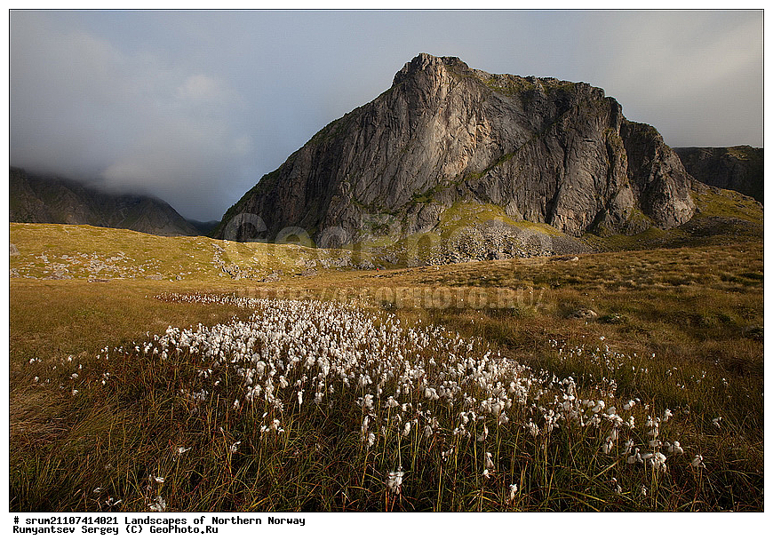 ��������� ����, ����������� �������, ��������, ��������, ���������, �������� ��������, �����, ����, ������, �����