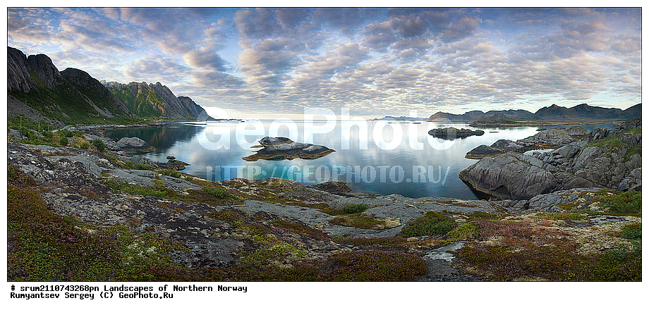 ��������� ����, ����������� �������, ��������, ��������, ���������, �������� ��������, �����, ����, ������, �����