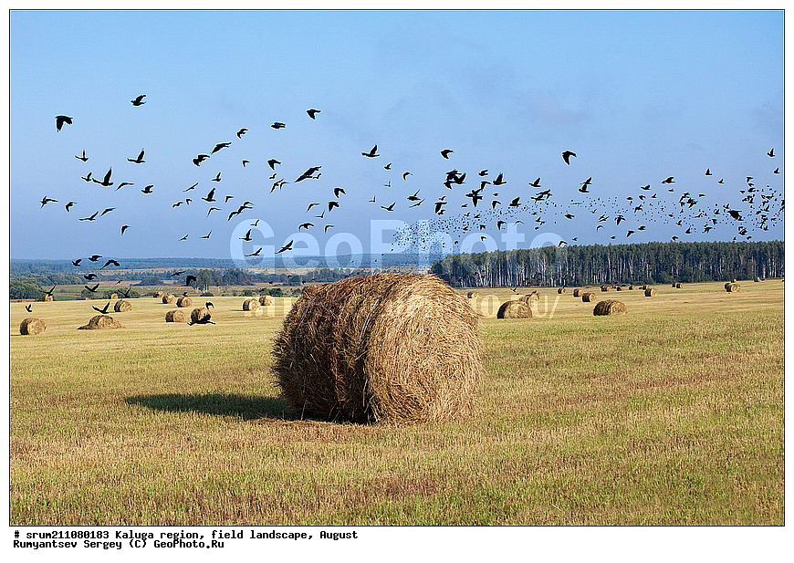 ��������� �������, ������, �����, �����������, ����, ������� ��������, �����, ���� ����