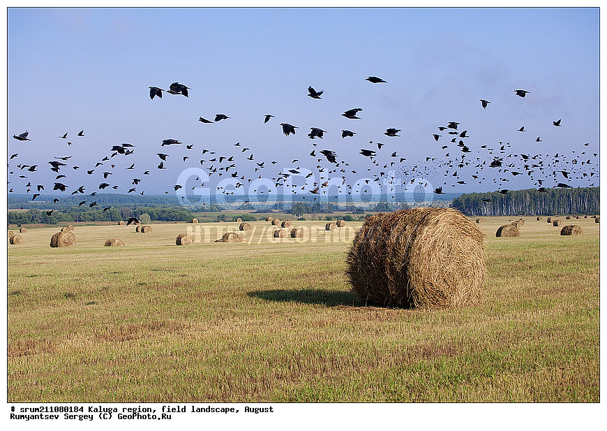 ��������� �������, ������, �����, �����������, ����, ������� ��������, �����, ���� ����