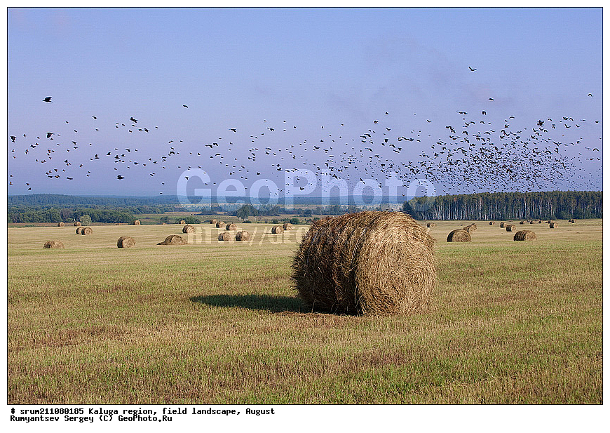 ��������� �������, ������, �����������, ����, ������� ��������