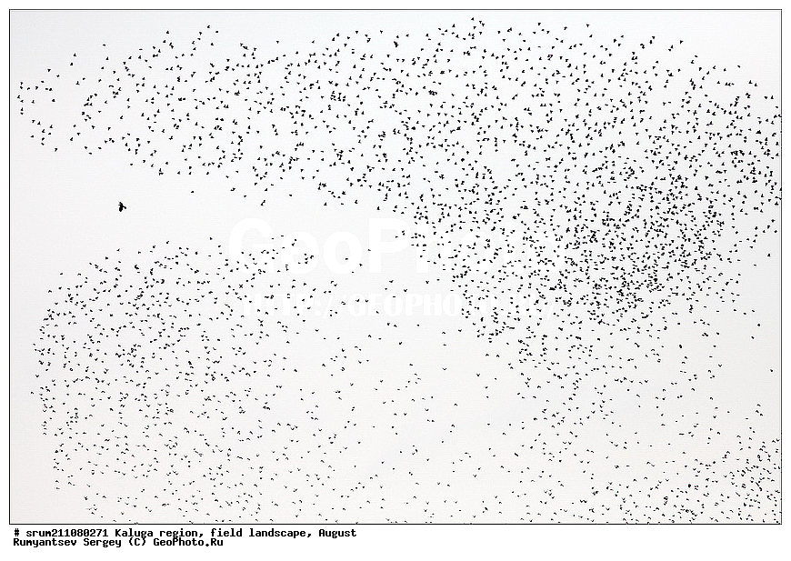 ��������� �������, ������, �����, �����������, ����, ������� ��������, �����, ���� ����