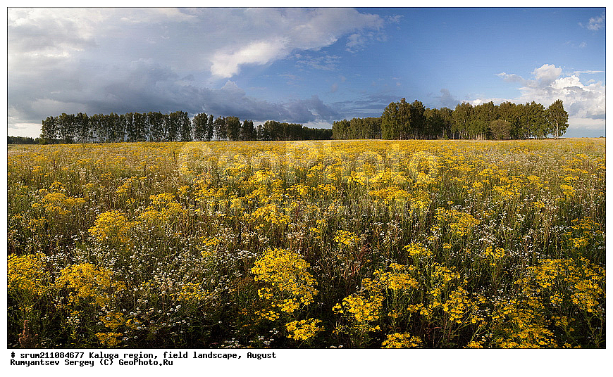 ��������� �������, ������, �����������, ����, ������� ��������