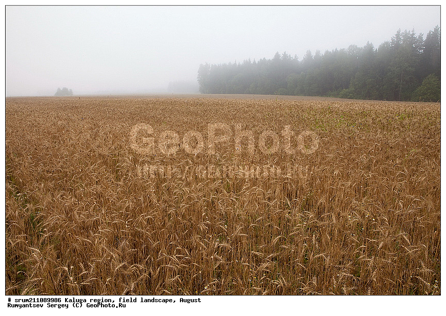 ��������� �������, ������, �����������, ����, ������� ��������