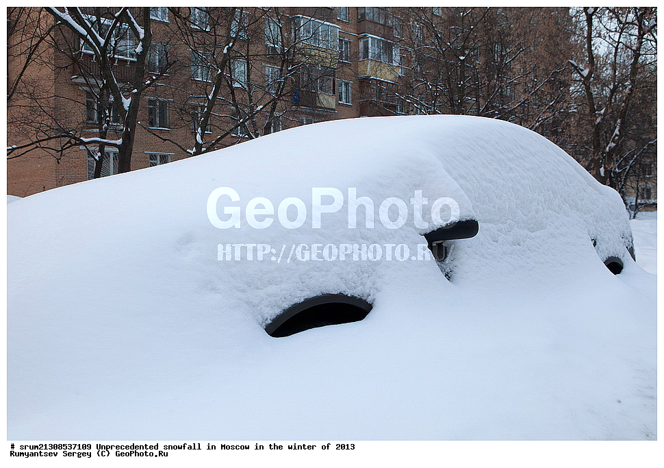 ����, ��������, ����� �����, ������, ����, 2013