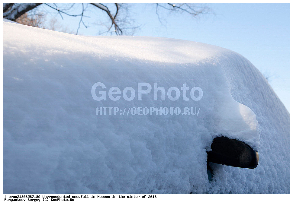 ����, ��������, ����� �����, ������, ����, 2013