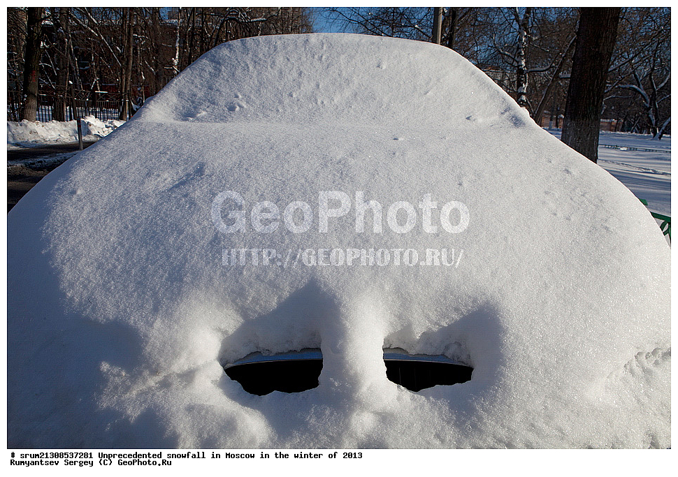 ����, ��������, ����� �����, ������, ����, 2013