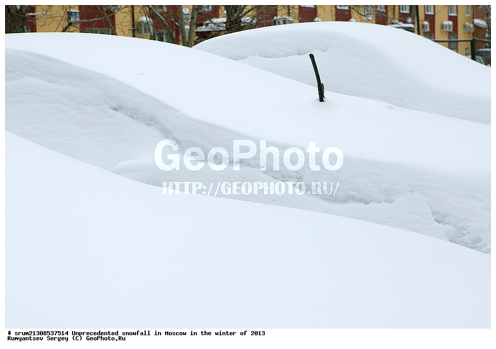 ����, ��������, ����� �����, ������, ����, 2013