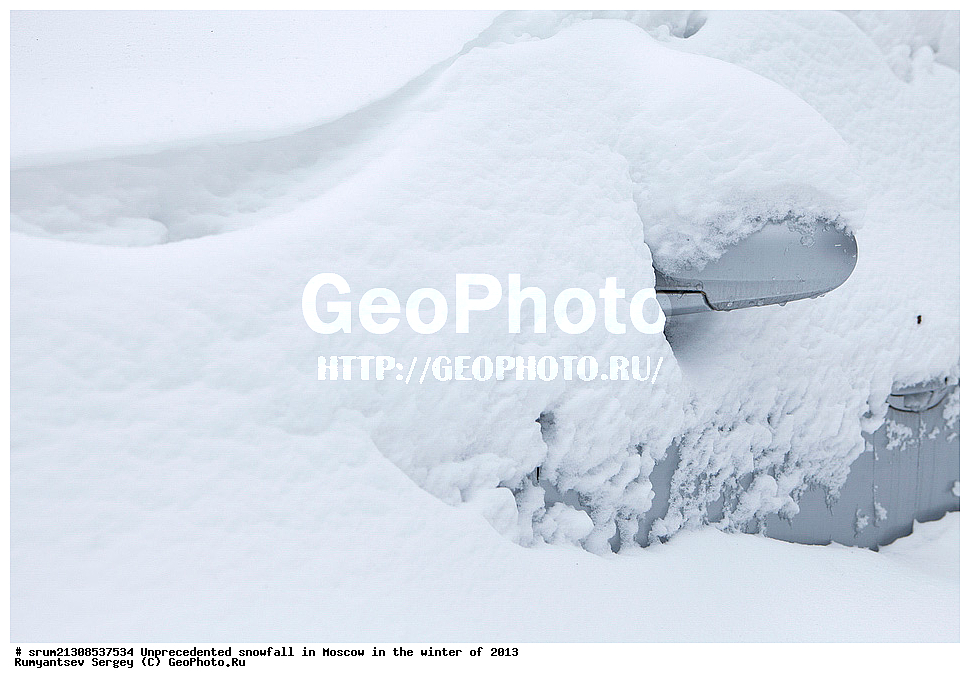 ����, ��������, ����� �����, ������, ����, 2013