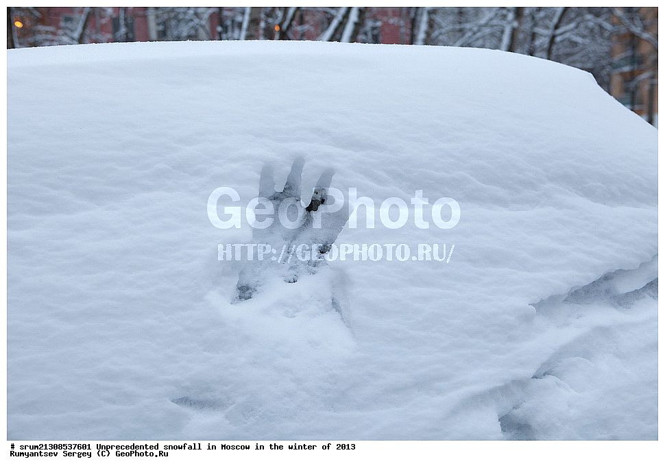 ����, ��������, ����� �����, ������, ����, 2013