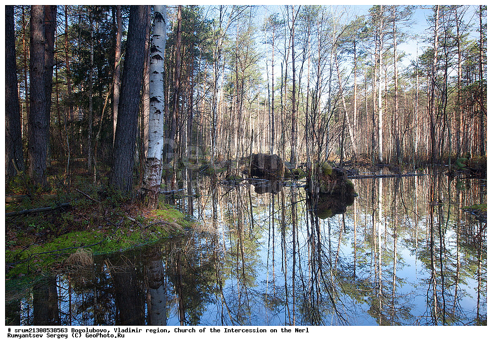  ����, ���, �����, ���������, ������, ����� ����