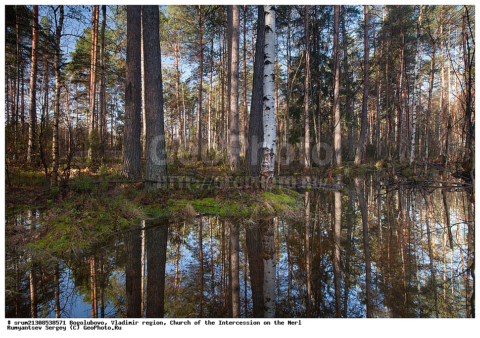  ����, ���, �����, ���������, ������, ����� ����