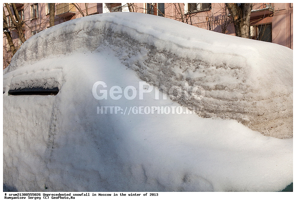 ����, ��������, ����� �����, ������, ����, 2013