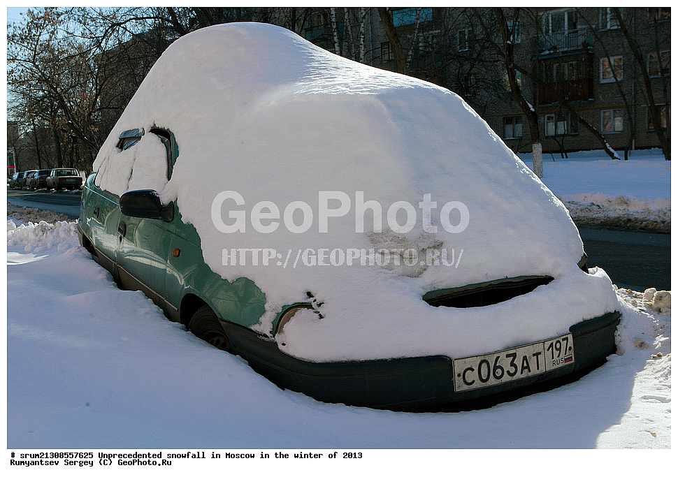 ����, ��������, ����� �����, ������, ����, 2013