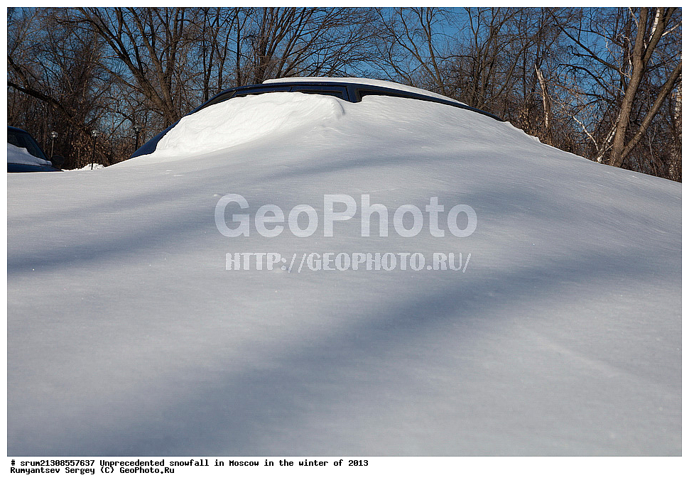 ����, ��������, ����� �����, ������, ����, 2013