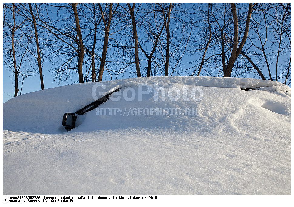 ����, ��������, ����� �����, ������, ����, 2013