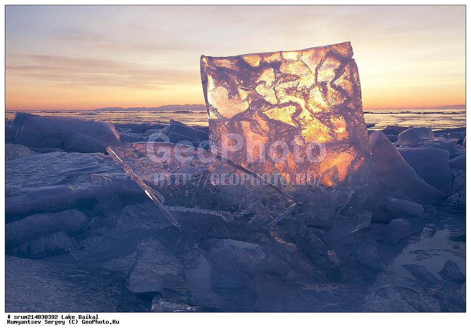 ����, ������, ����, 2014, ���, �������, ������ ����, ������ ������, �����, ������, ������ 