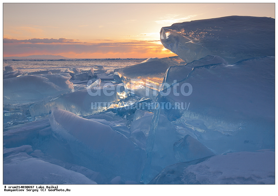 ����, ������, ����, 2014, ���, �������, ������ ����, ������ ������, �����, ������, ������ 