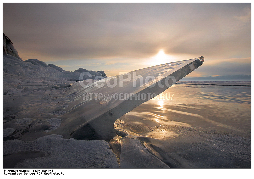 ����, ������, ����, 2014, ���, �������, ������ ����, ������ ������, �����, ������, ������ 