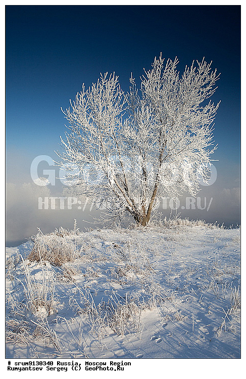 ������, ���������, �����, ���, ����, �������, �������, ����, �����������, ������, ���������, ���������, ����, �������, ����, ���, �����, ������, ������, �����������, �������, ����������, ����, ����, ��������� ����, ���������, �����, �������������, �������, �����, ������, �����, ������, �����