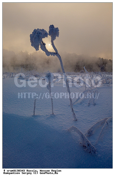 ������, ���������, �����, ���, ����, �������, �������, ����, �����������, ������, ���������, ���������, ����, �������, ����, ���, �����, ������, ���������� �������, ������, �������, ����������, ����, ����, ��������� ����, ���������, �����, �������������, �������, �����, ������, �����, ������, �����