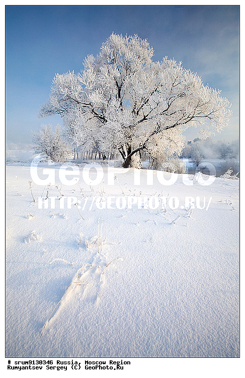 ������, ���������, �����, ���, ����, �������, �������, ����, �����������, ������, ���������, ���������, ����, �������, ����, ���, �����, ������, ���������� �������, ������, �������, ����������, ����, ����, ��������� ����, ���������, �����, �������������, �������, �����, ������, �����, ������, �����